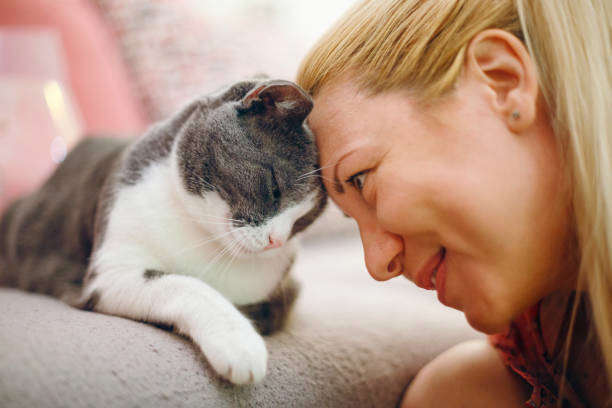 Tout ce qu’il faut savoir sur votre chat