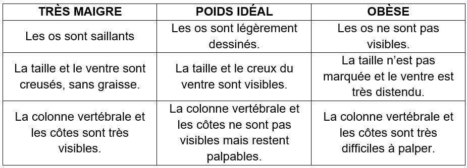 Poids idéal chez le chat et le chien-01