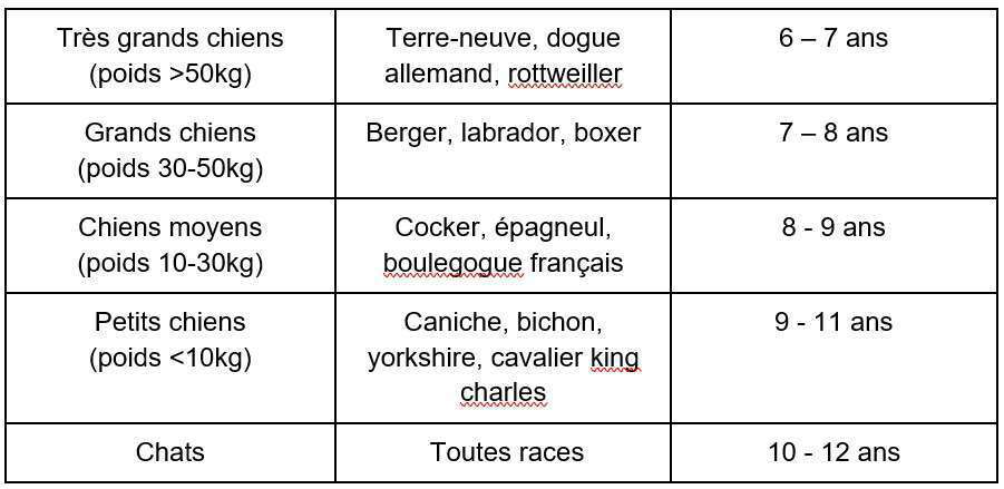 Vieillissement du chien et du chat-01