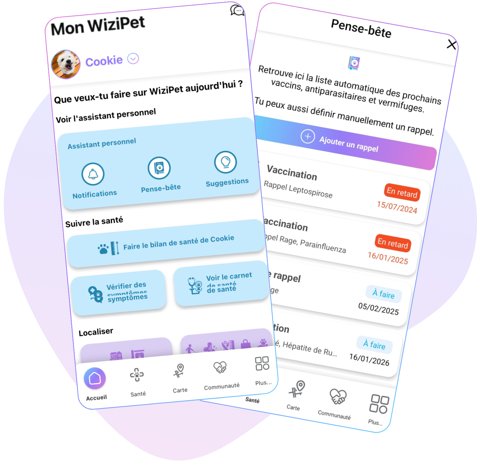 Aperçu de l’accueil WiziPet et des rappels de santé dans l’application