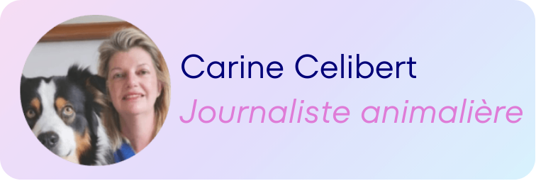 Carine Celibert