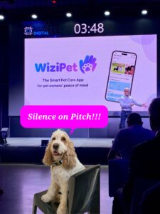 Wizipet pitch fit4start