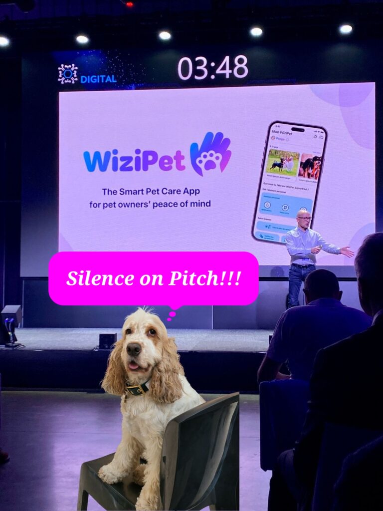 Wizipet pitch fit4start